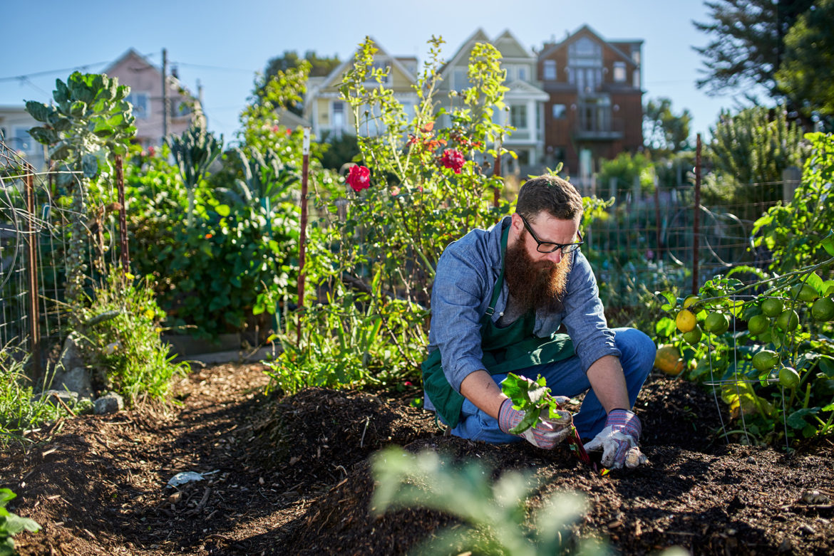 A Ski Town Greenhouse Takes Local Produce to Another Level