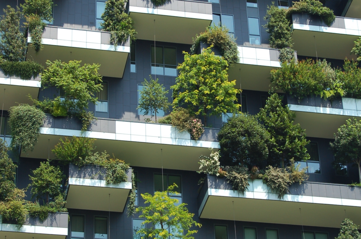 Are We Really A ‘Green’ City?